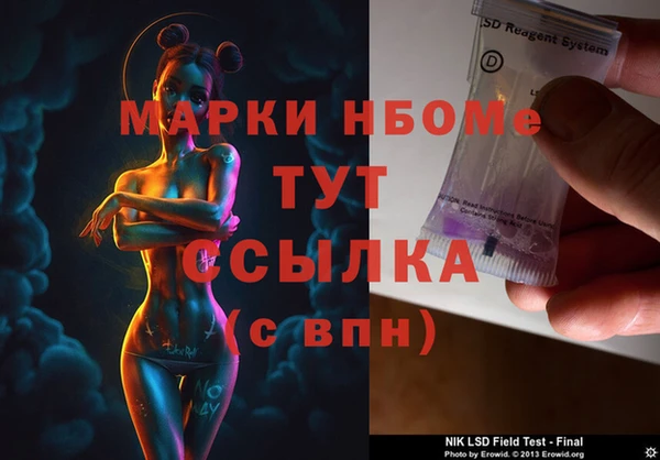 хмурый Богородицк
